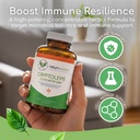 cryptolepis-concentrate-immune-support-w-3.jpg
