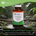 cryptolepis-concentrate-immune-support-w-6.jpg