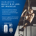muscletech-muscle-builder-with-400mg-pea-4.jpg