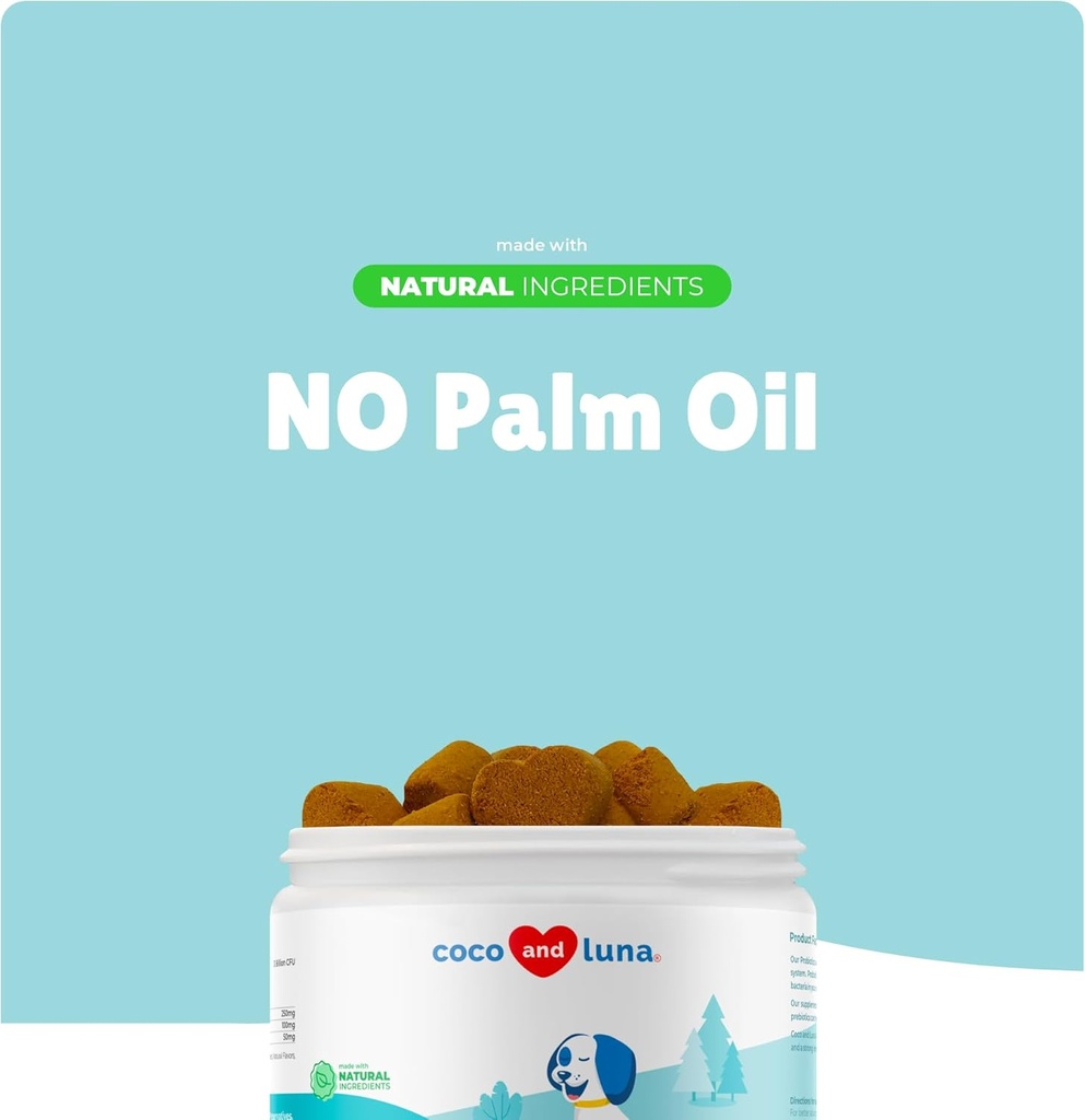 probiotics-for-dogs-digestive-health---s-3.jpg