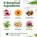 elavyn-flow-by-elavyn-lymphatic-drainage-4.jpg