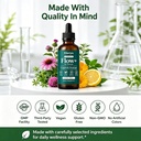 elavyn-flow-by-elavyn-lymphatic-drainage-5.jpg