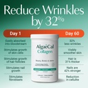 algaecal-magnesium-relax-chelated-magnes-5.jpg