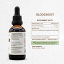 secrets-of-the-tribe-bloodroot-tincture--4.jpg