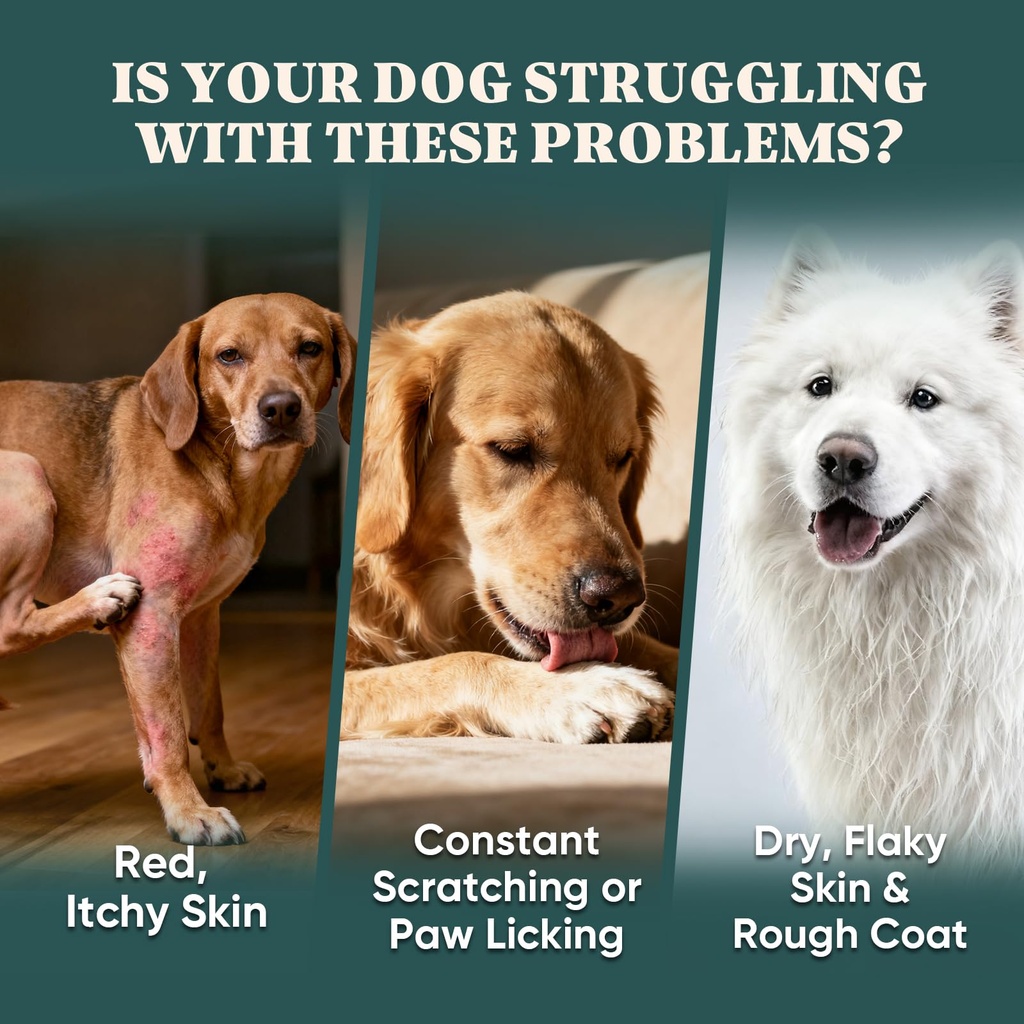 dog-allergy-chews-omega-3-is-human-itch--3.jpg