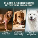 dog-allergy-chews-omega-3-is-human-itch--3.jpg
