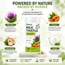 enerra-milk-thistle-80-silymarin-formula-4.jpg