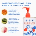 native-pet-omega-3-fish-oil-for-dogs-16o-3.jpg