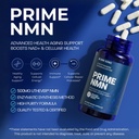 bone-science-uthever-nmn-pterostilbene-6-5.jpg