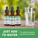 nutramedix-houttuynia-gastrointestinal-i-6.jpg