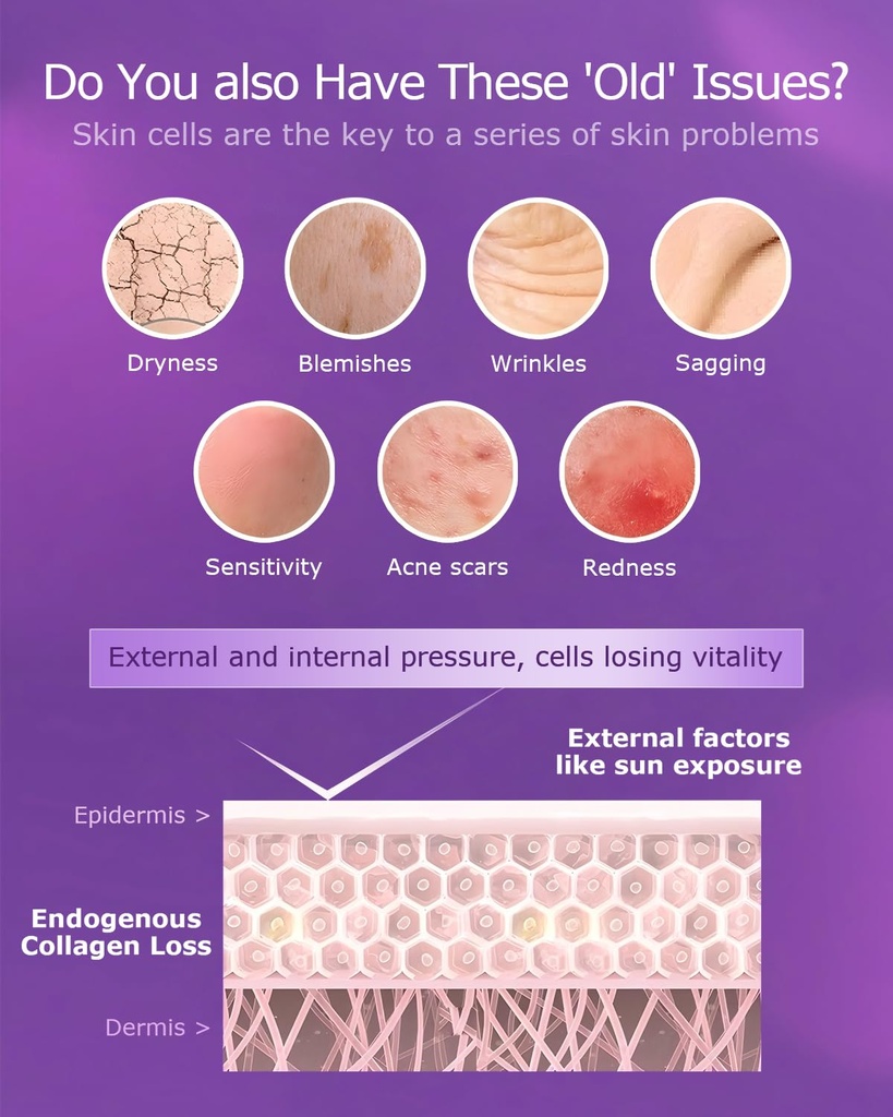 cellular-skin-recovery-supplement-hit-th-4.jpg