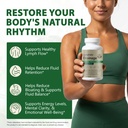 lymphatic-drainage-supplement-lymphatic--6.jpg