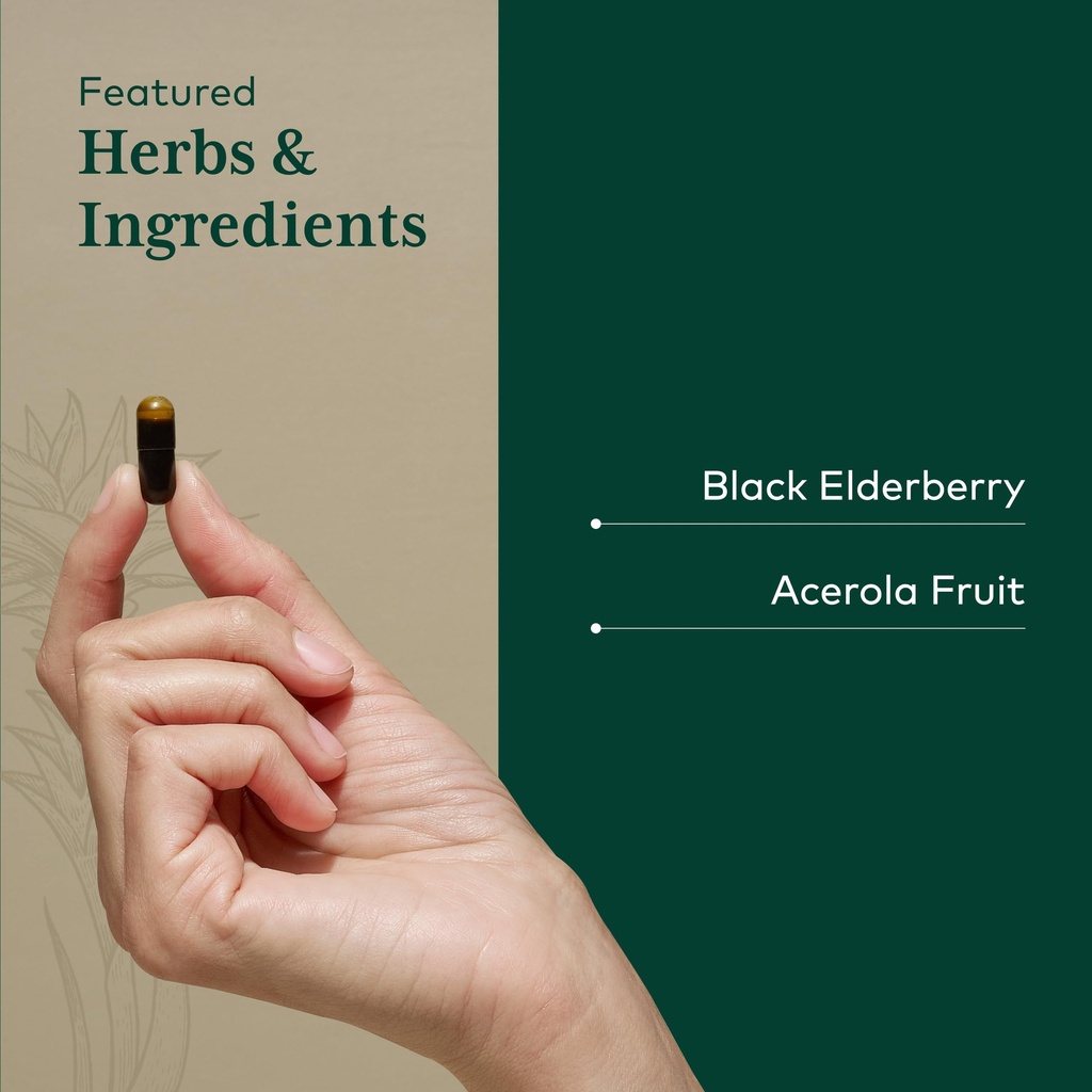 gaia-herbs-pro-black-elderberry-pro-supp-4.jpg