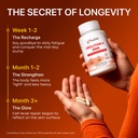 gynable-patented-urolithin-a-supplement--4.jpg