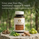 maharishi-ayurveda-liver-balance-60-tabl-6.jpg