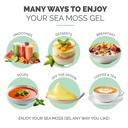 eversmith-organics-wildcrafted-irish-sea-6.jpg