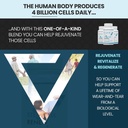 stem-cell-renew-boost-your-natural-suppl-6.jpg