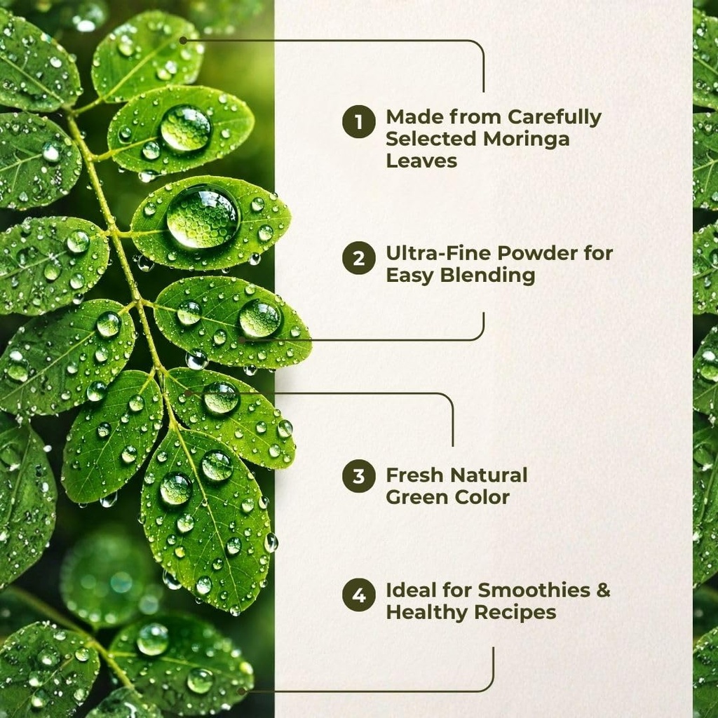 usda-organic-moringa-powder-pure-moringa-3.jpg