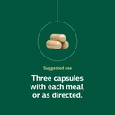 standard-process-rumaplex-healthy-liver--5.jpg