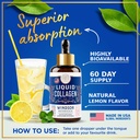 windsor-botanicals-2p-liquid-collagen-ha-6.jpg