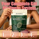 jevawell-probiotic-kombucha-gummies-preb-3.jpg
