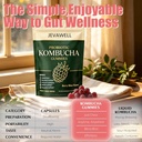 jevawell-probiotic-kombucha-gummies-preb-5.jpg