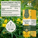 herbamama-st-john-s-wort-tincture-vegan--3.jpg