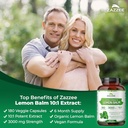 zazzee-herbal-mood-support-bundle-20x-po-4.jpg