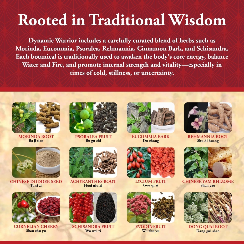 kan-herbs-dynamic-warrior-120-tabs-healt-4.jpg