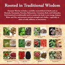 kan-herbs-dynamic-warrior-120-tabs-healt-4.jpg