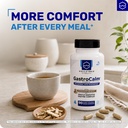 wellzymes-gastrocalm-for-upper-digestive-3.jpg