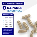 wellzymes-gastrocalm-for-upper-digestive-6.jpg