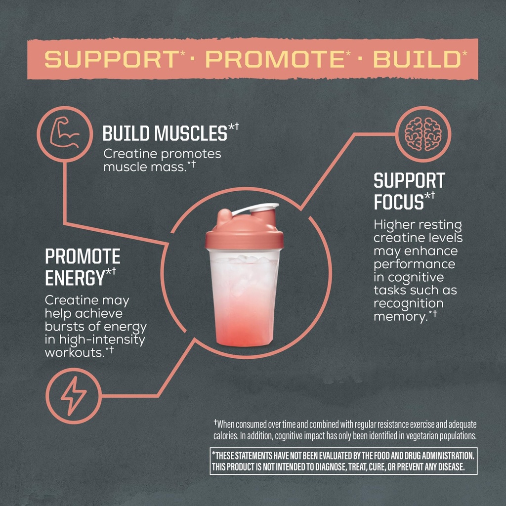 creatine-monohydrate-powder-micronized-p-4.jpg