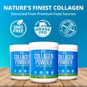 root-vitality-collagen-peptides-powder-g-3.jpg