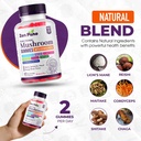 mushroom-gummies-with-ashwagandha-8-func-5.jpg