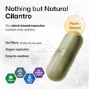 bio-krauter-cilantro-for-detox-cleanse-v-4.jpg