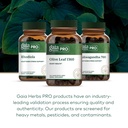 gaia-herbs-pro-olive-leaf-1360-supports--6.jpg