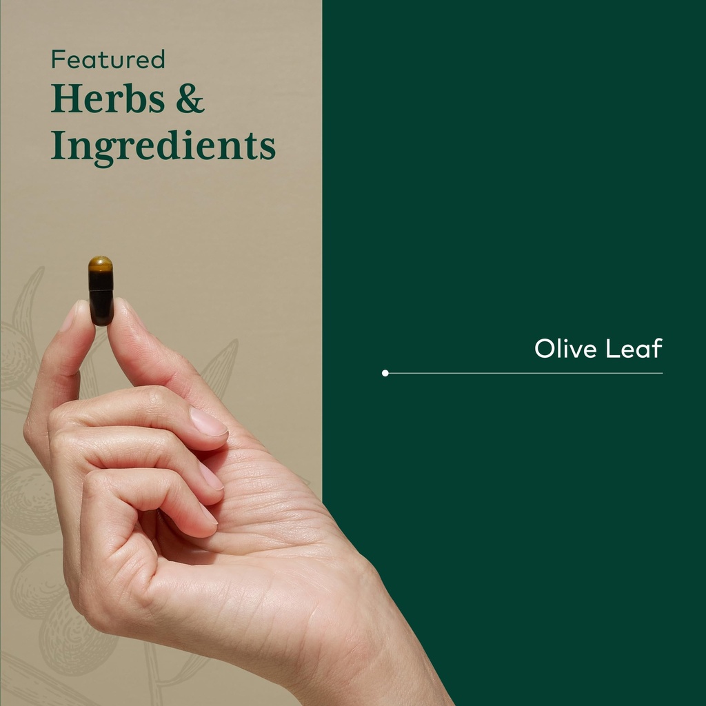 gaia-herbs-pro-olive-leaf-1360-supports--4.jpg
