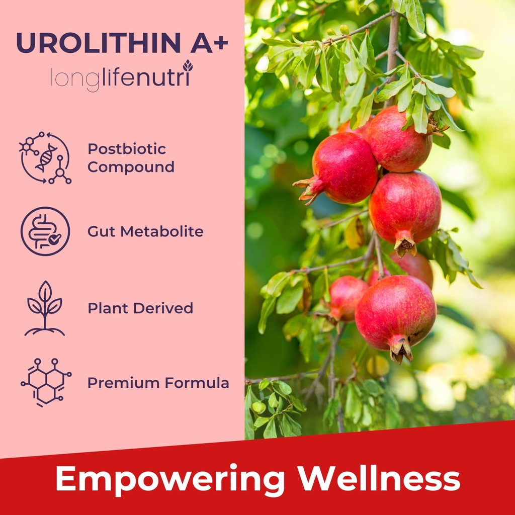 longlifenutri-rhodiola-rosea-500-mg-urol-5.jpg
