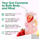 venture-pal-2-in-1-hydration-packets-gut-5.jpg