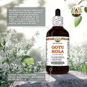 gotu-kola-centella-asiatica-dry-leaf-gly-5.jpg