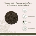 starwest-botanicals-wildcrafted-chaparra-4.jpg