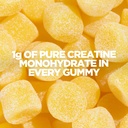 myprotein-creatine-gummies-5g-creatine-m-3.jpg