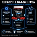 creatine-monohydrate-gummies-with-gaa-pr-6.jpg