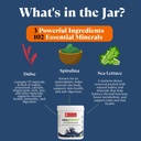 ocean-s-balance-seagreens-daily-superfoo-4.jpg