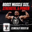 jnx-sports-the-curse-micronized-creatine-5.jpg