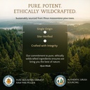 forest-manna-raw-pine-pollen-powder-adap-4.jpg