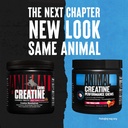 animal-pak-vitamin-pack-with-creatine-ch-6.jpg