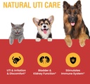 special-breed-urinary-tract-infection-tr-3.jpg