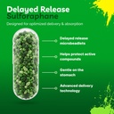 sulforaphane-supplement-50mg-broccoli-se-3.jpg